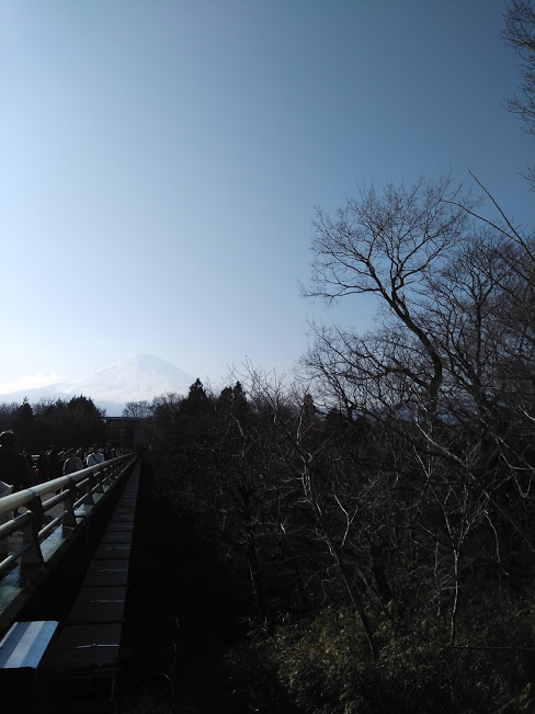 IMG_20180325_154725.jpg